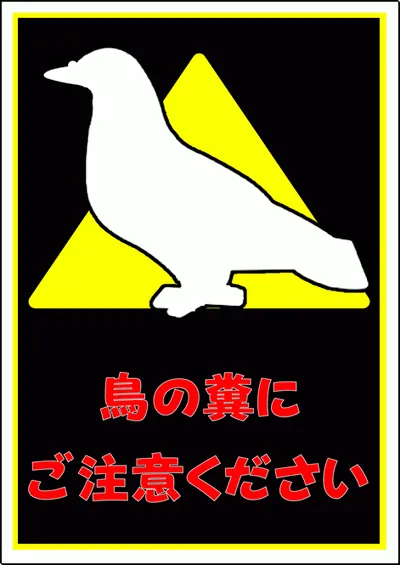 鳥の糞にご注意くださいの無料ダウンロード